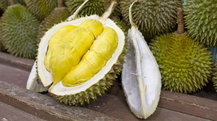 Keunggulan Durian Montong